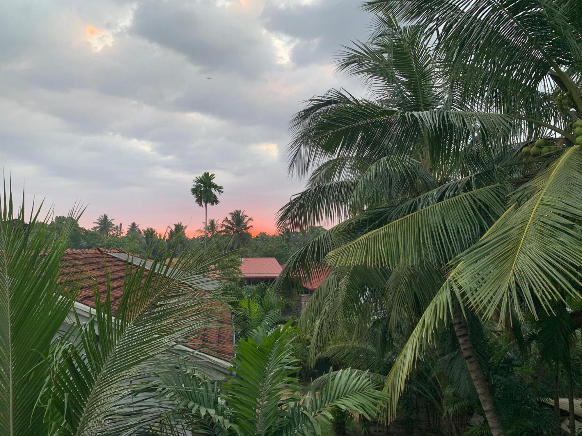 Helianto Social Villa Bentota Rum bild